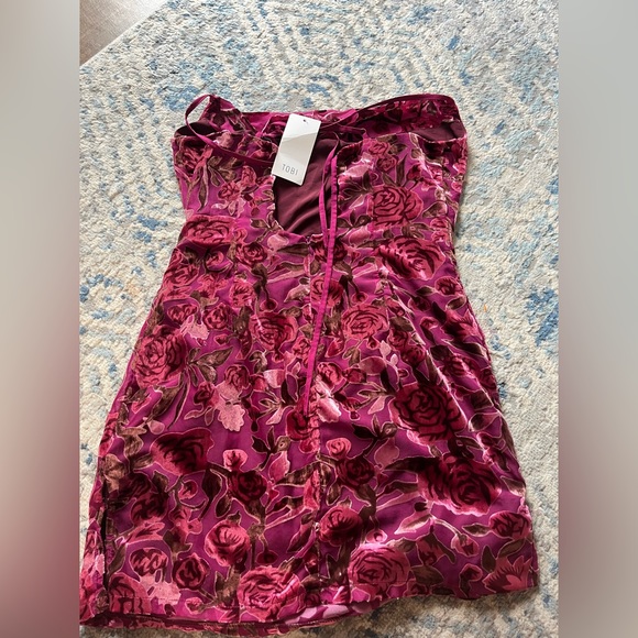 Nwt Tobi Velvet Rose Valentine Dress - Picture 2 of 4